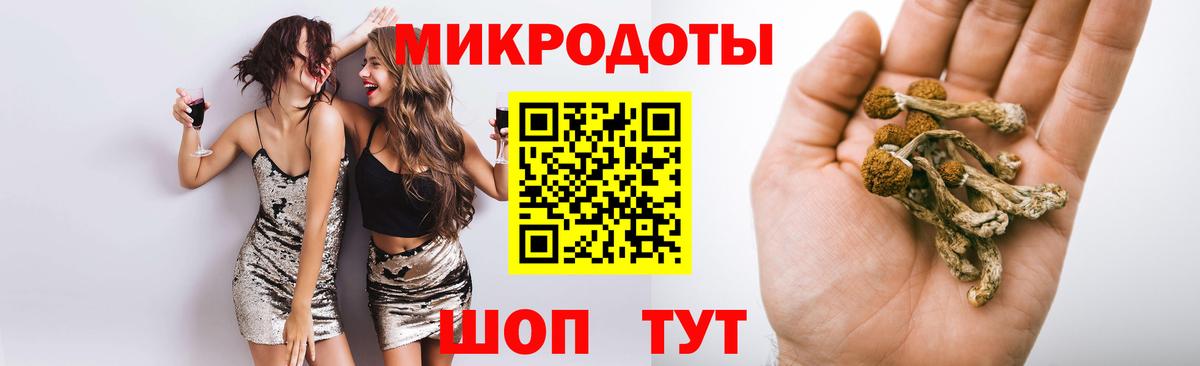 Псилоцибиновые грибы Psilocybe Саров